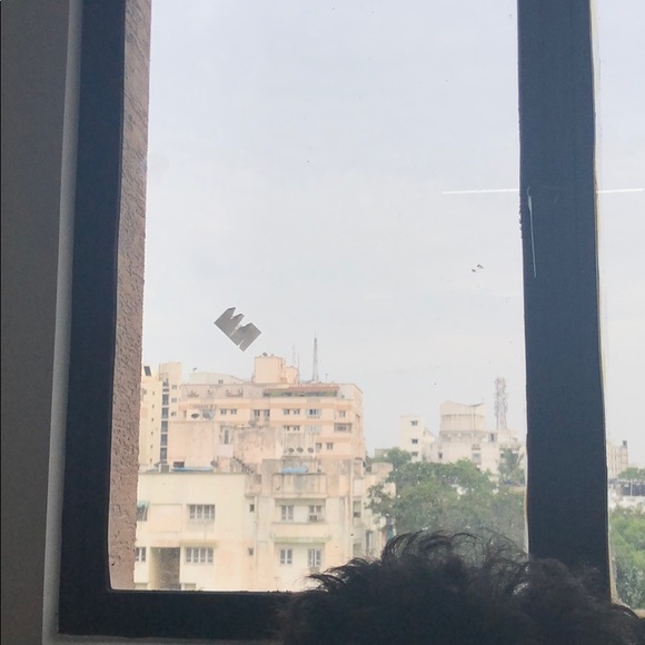 8 images belt - Picture 1 of 2